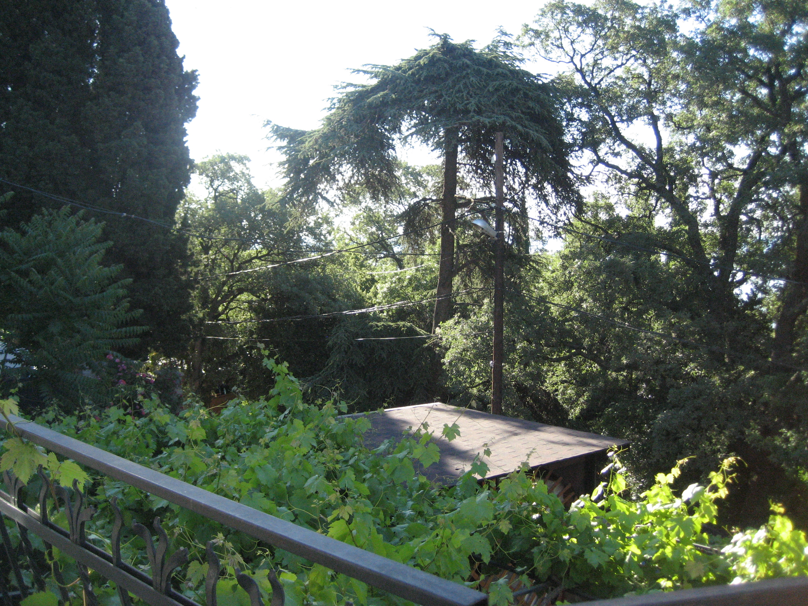 Фото Натали