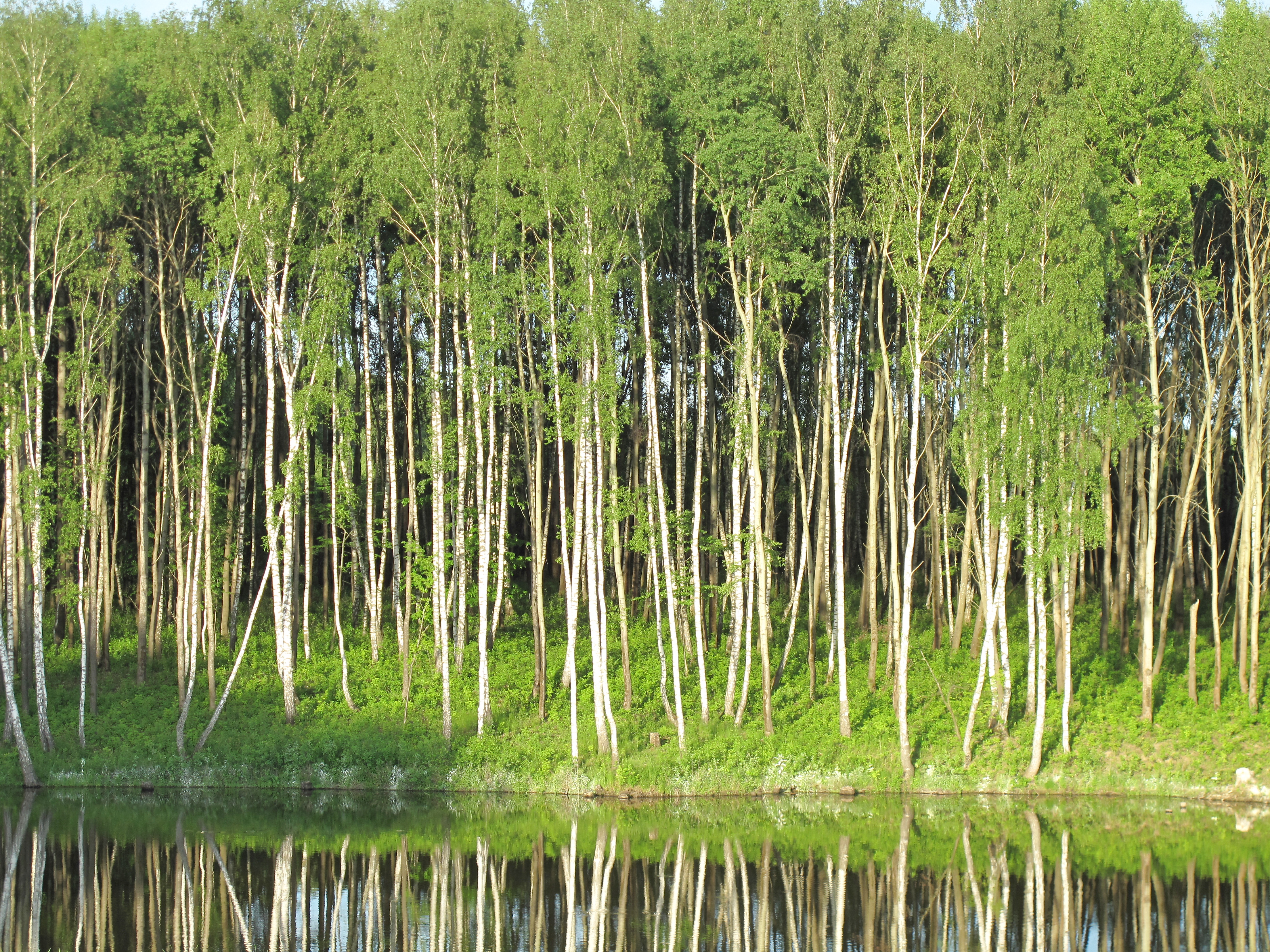 Фото Эко-парк Рождествено