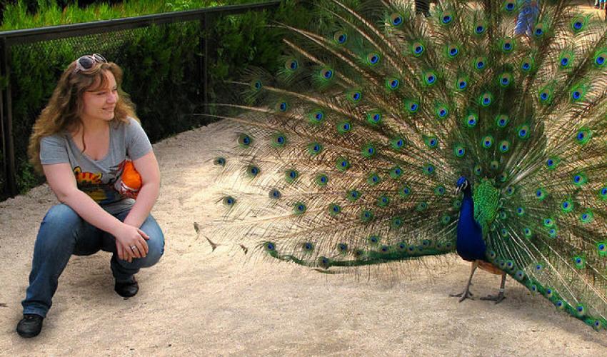 Фото Ай-Лия