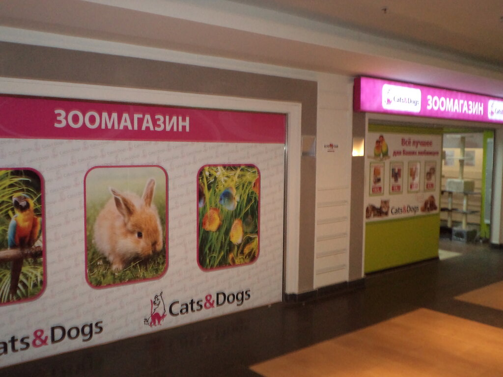 Зоомагазин Cats Dogs Интернет Магазин