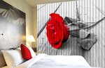 DKgroup (Nakhichevan, 1st Mayskaya Street, 33/16), blinds and roller blinds