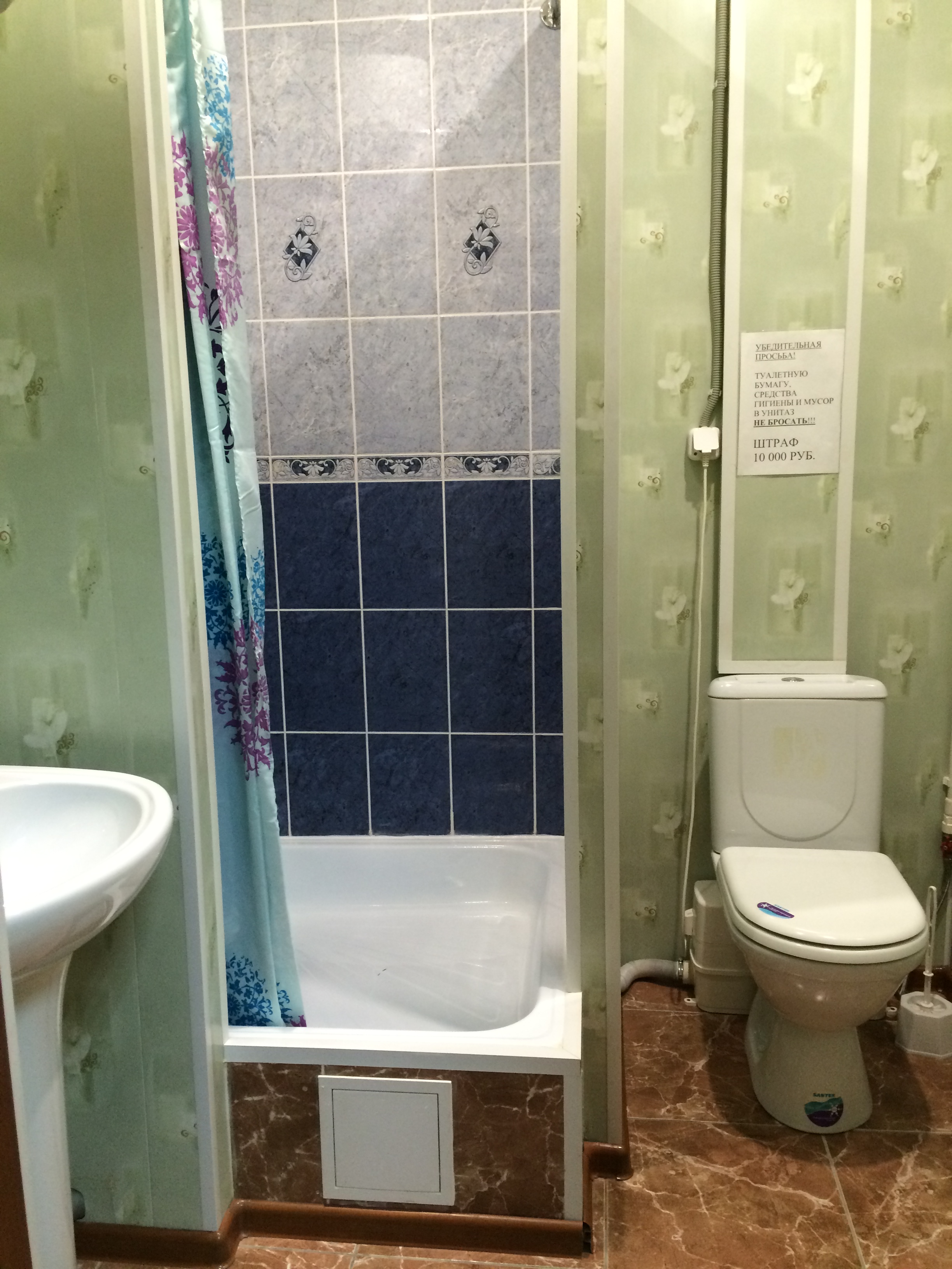 Фото Ариэль