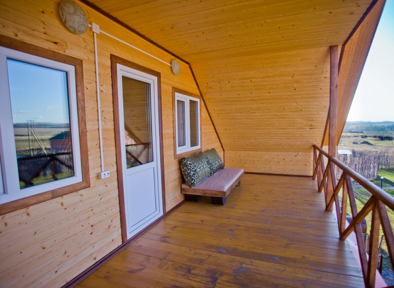 Фото Подсолнух