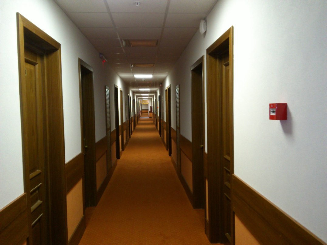 Фото Апельсин