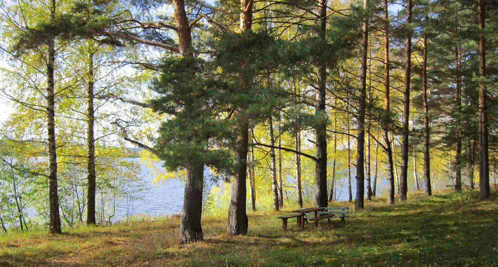 Лисицкий бор тверь карта