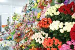 Dostavkacvetov26 (50 let VLKSM Street, 16И), entrega de flores y ramos