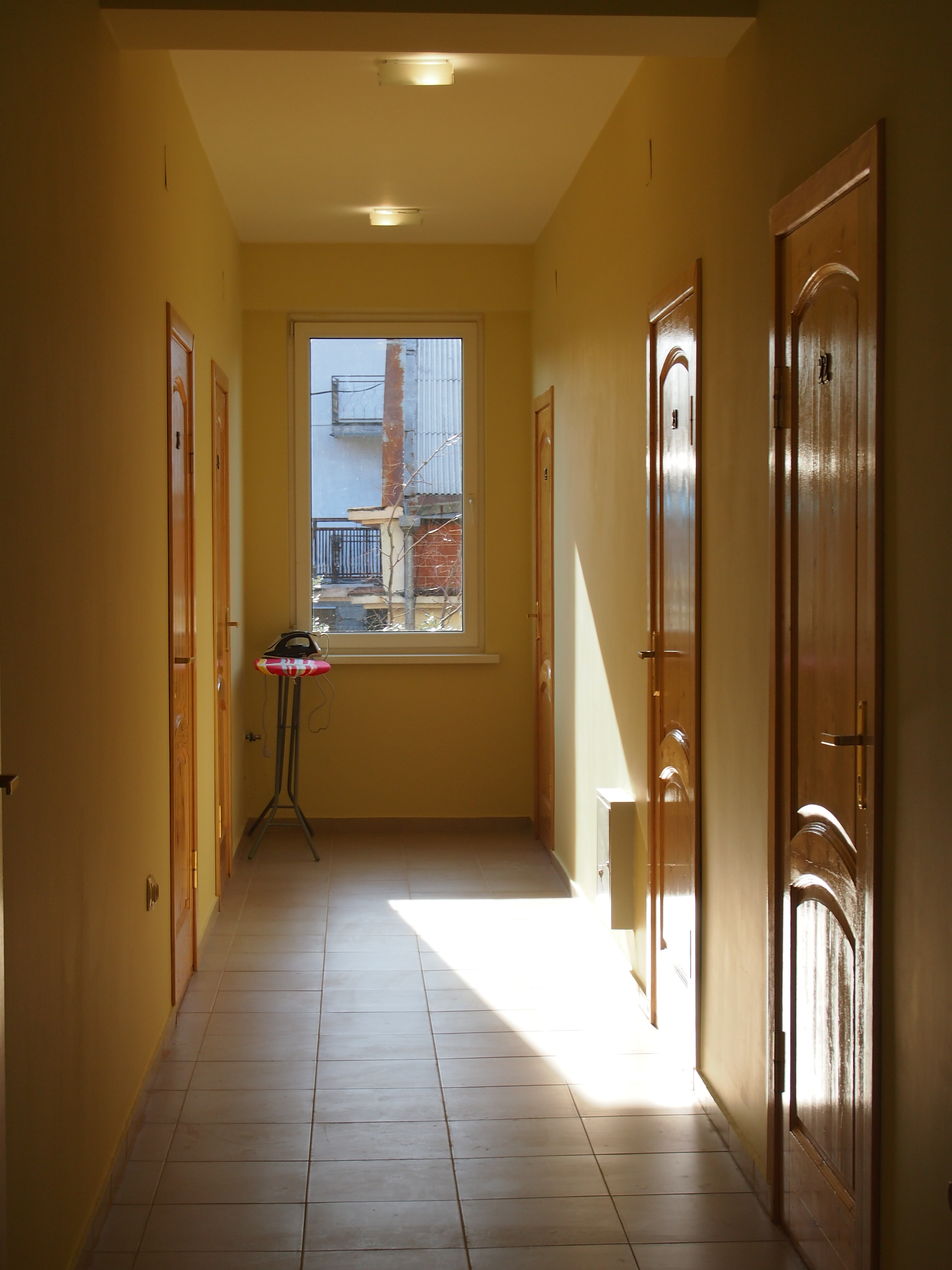 Фото Орхидея