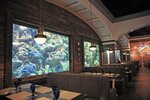 Marlin (Antonovycha Street, 176) ، مطعم