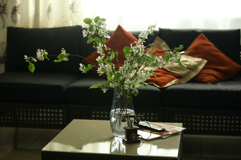 Фото Три Матрешки