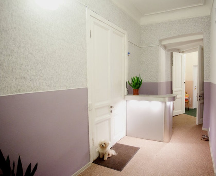 Фото Петропавловский