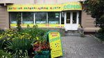 Development Child Center Sema (Dmitriya Donskogo Boulevard, 18/4), children's developmental center