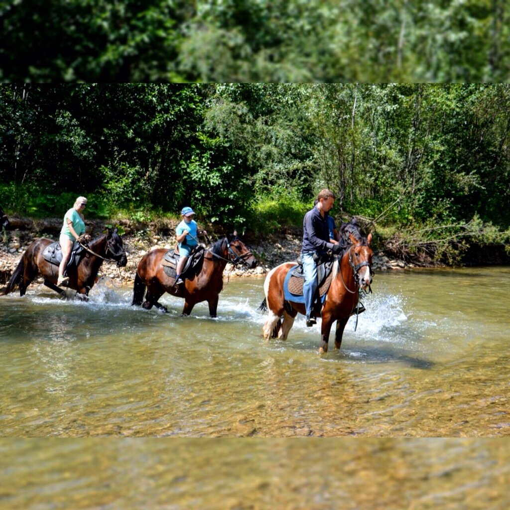 Horse riding Konnyye progulki Guamka, Krasnodar Krai, photo