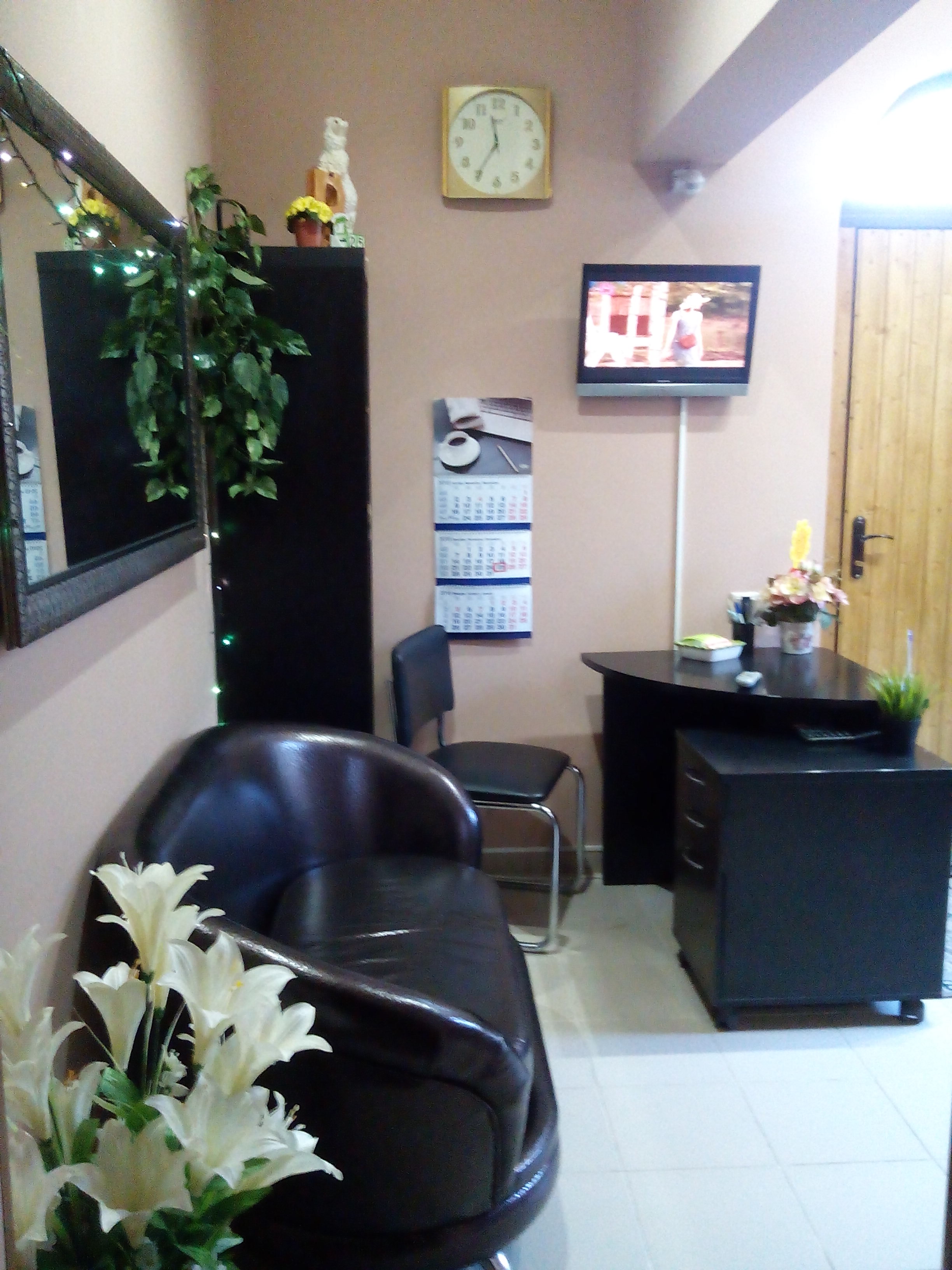 Фото Абрикос