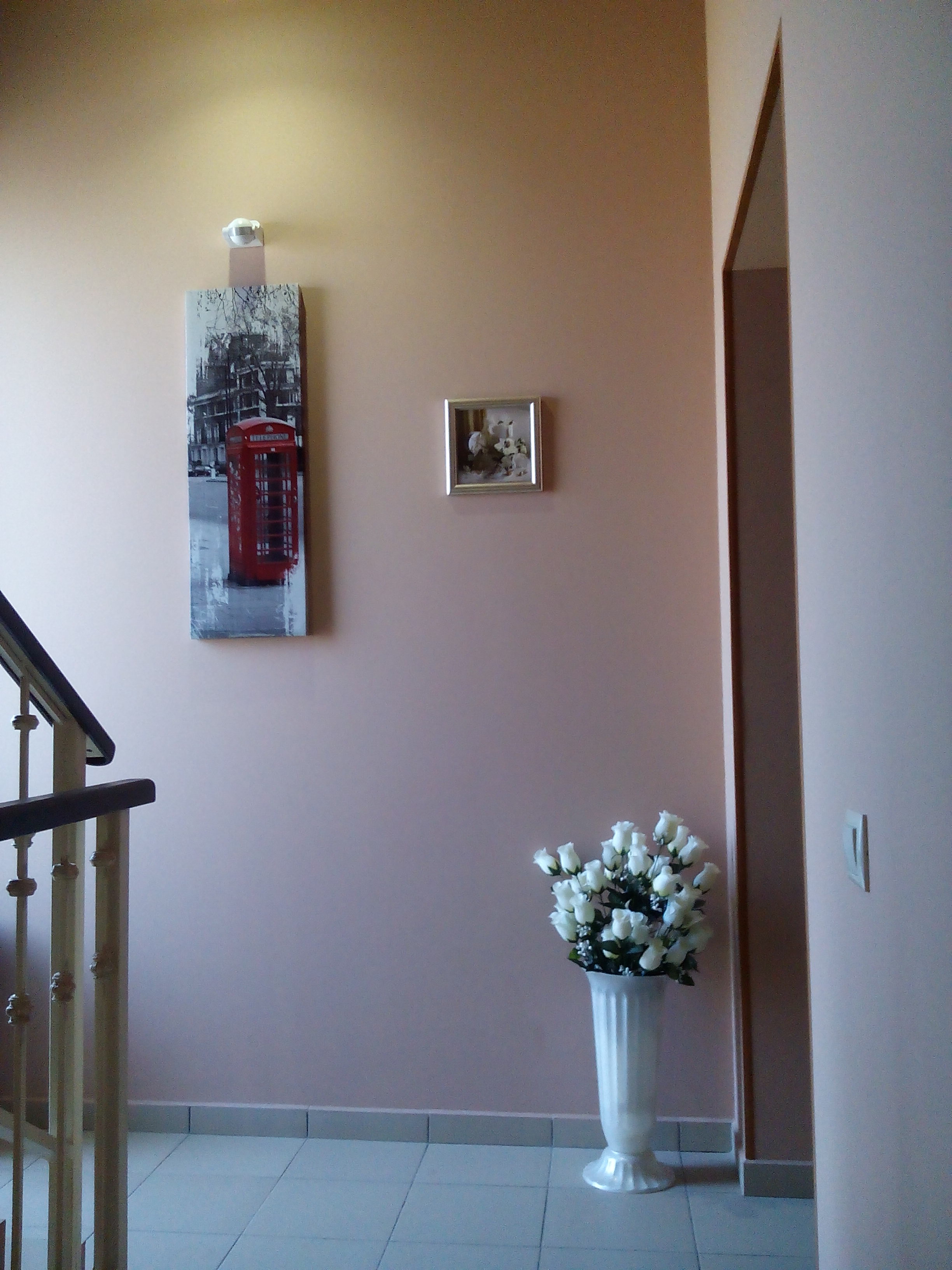 Фото Абрикос