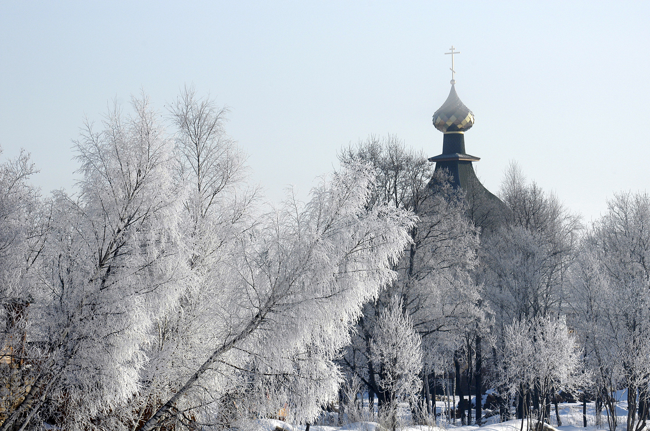 Фото Экокомплекс СДЛ