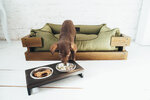 Harley and Cho (Nauky Avenue, 41), muebles tapizados