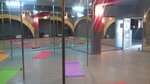 Studiya tantsa na pilone The Flame (Hnata Yury Street, 7Д), sports hall, gym
