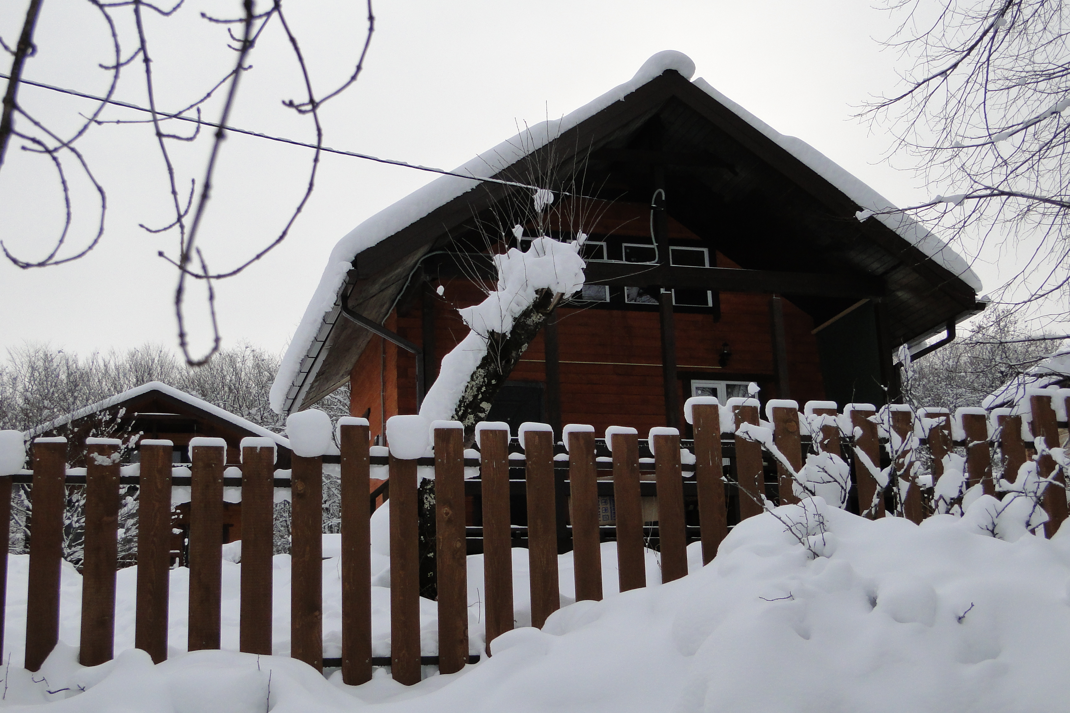 Фото Шале Дрозды