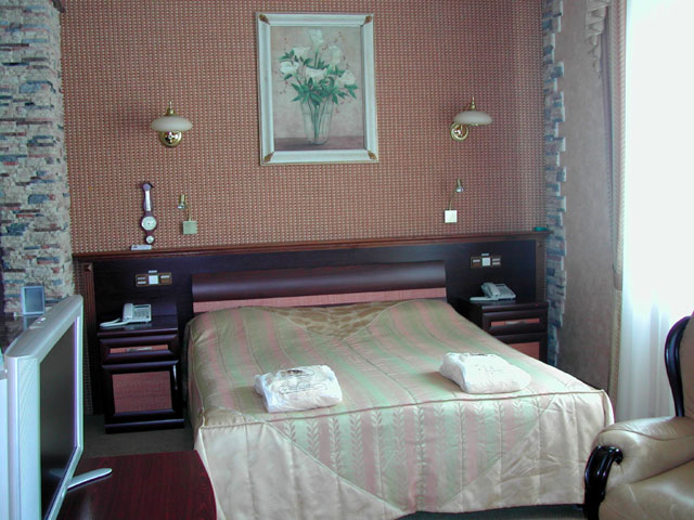 Фото Черепаха