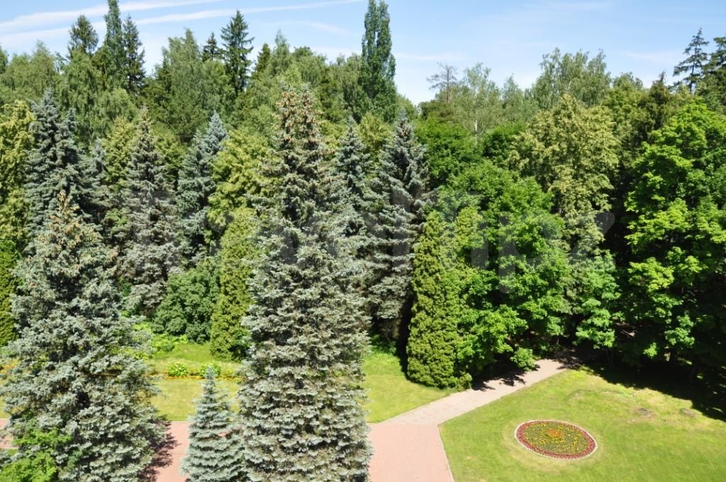 Фото Голицыно