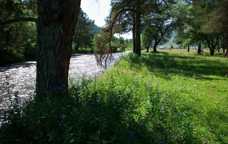 Фото Островок