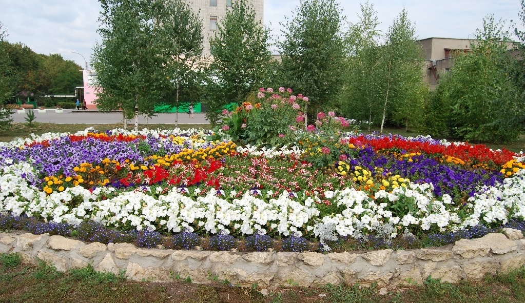 Фото Санаторий имени М.И. Калинина