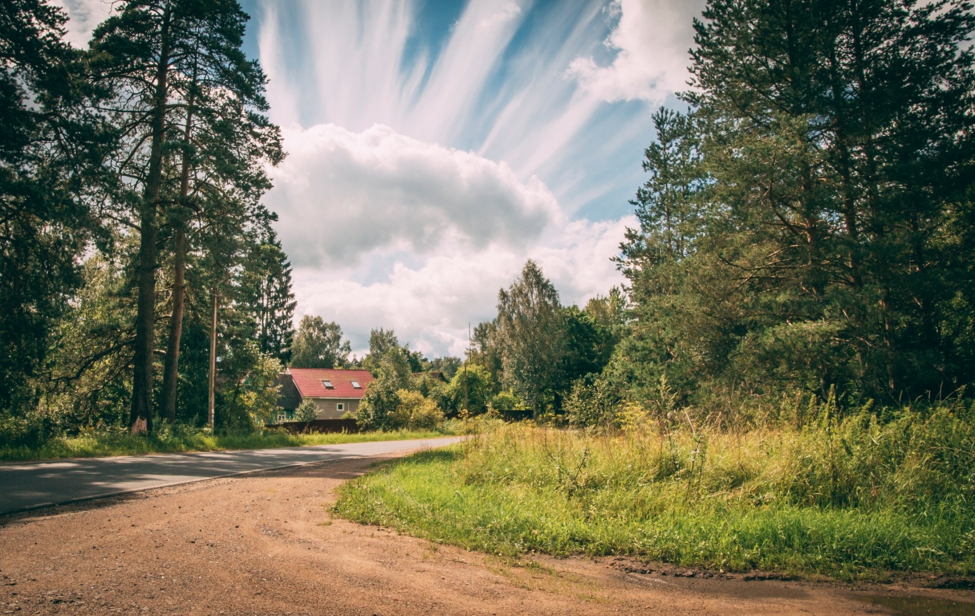 Фото Пикник