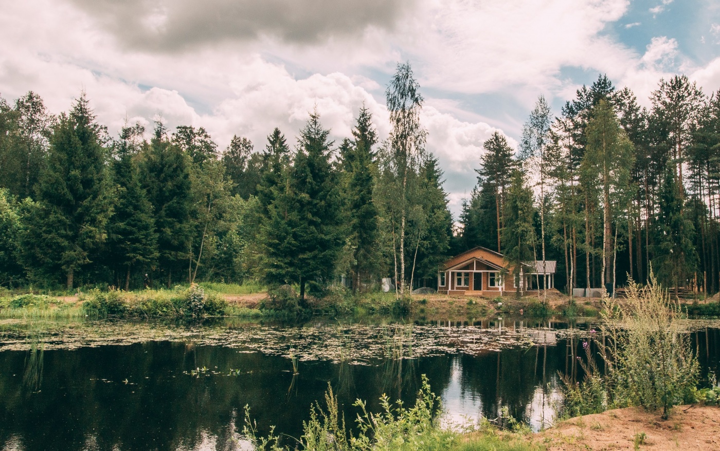 Фото Пикник