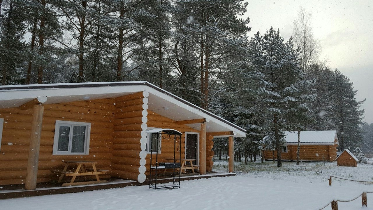 Фото Пикник