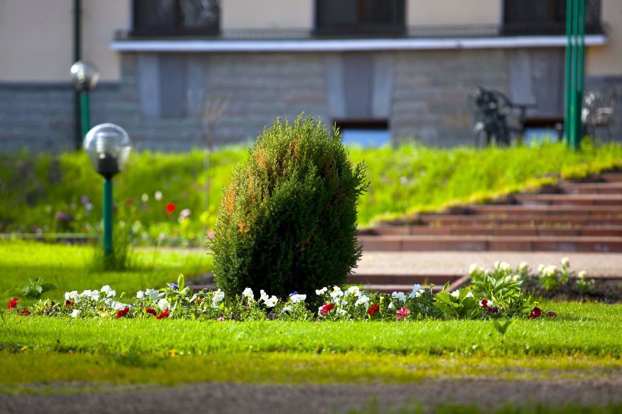 Фото Президент