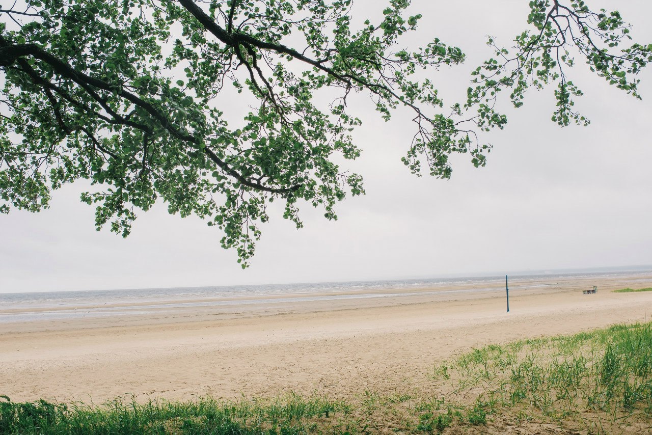 Фото Скандинавия