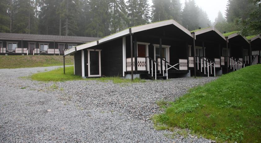 Фото Времена Года