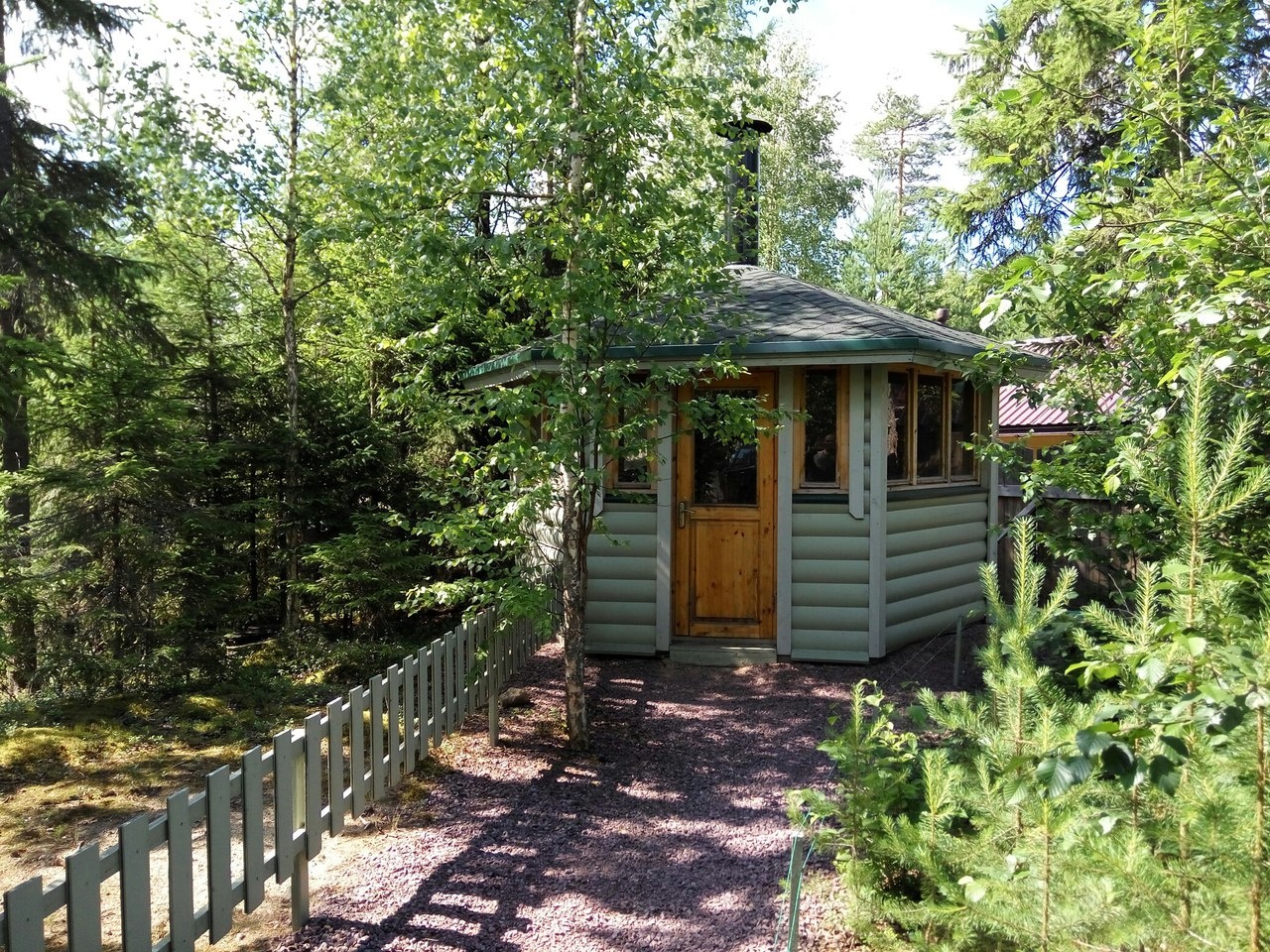 Фото Хвойный