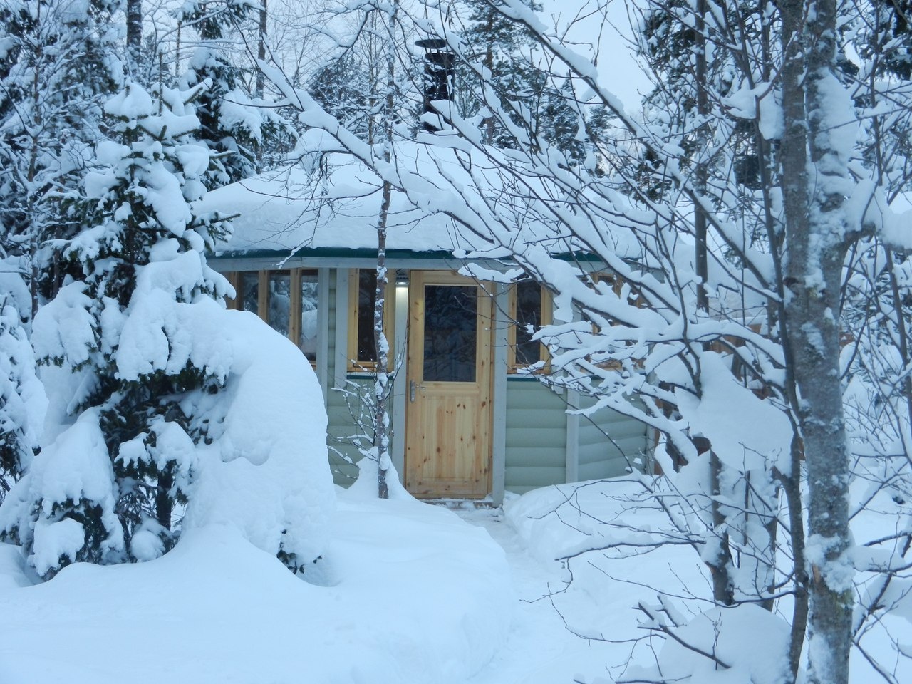 Фото Хвойный