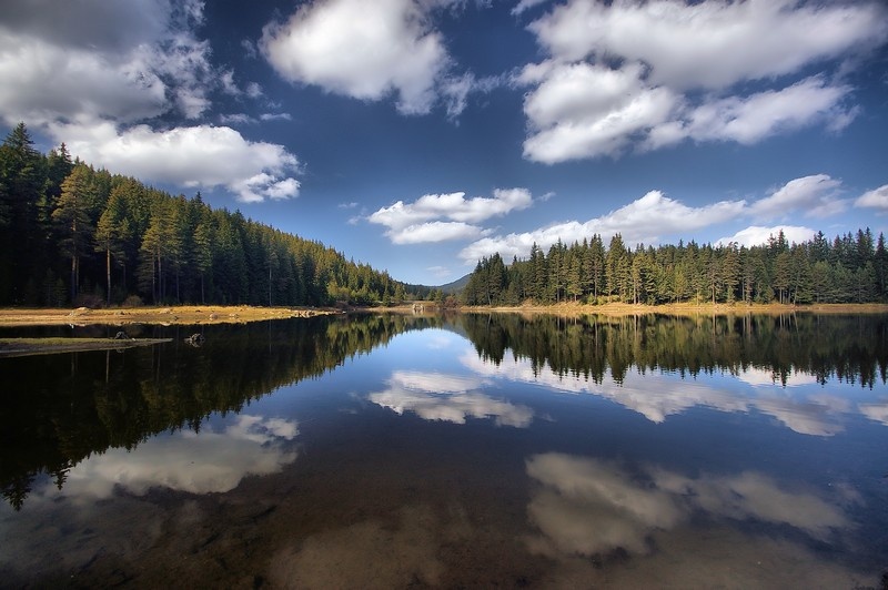 Фото Онежская усадьба