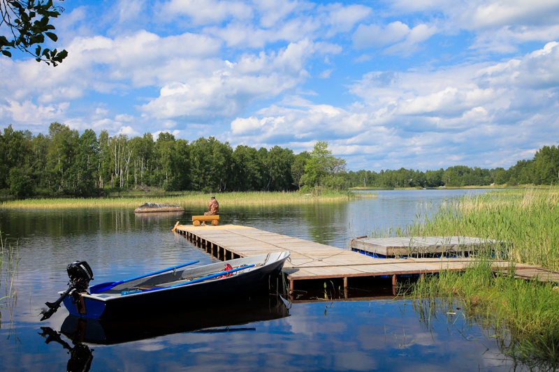 Фото Озерный берег