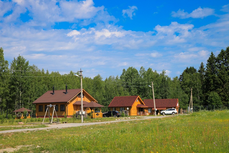 Фото Озерный берег