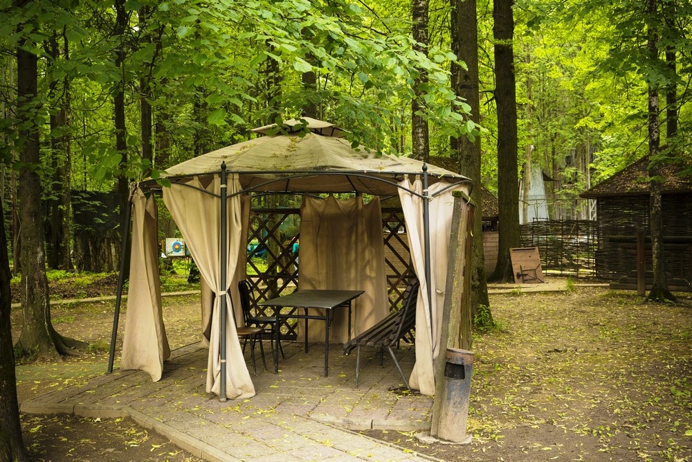 Фото Солярис