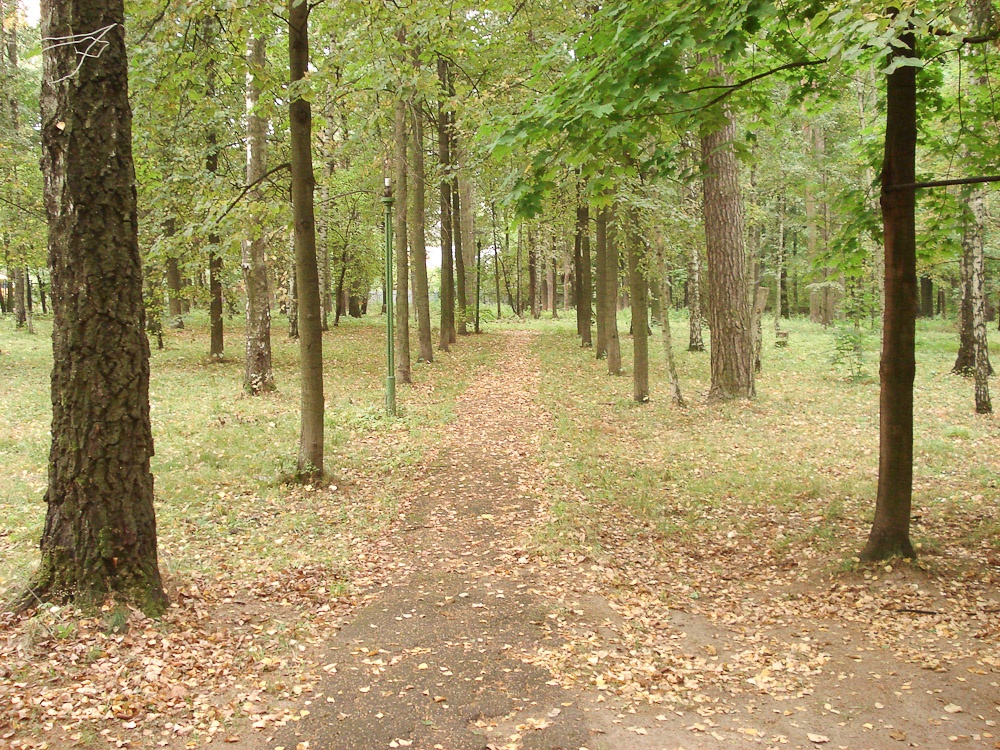 Фото Учебный центр профсоюзов Московской области