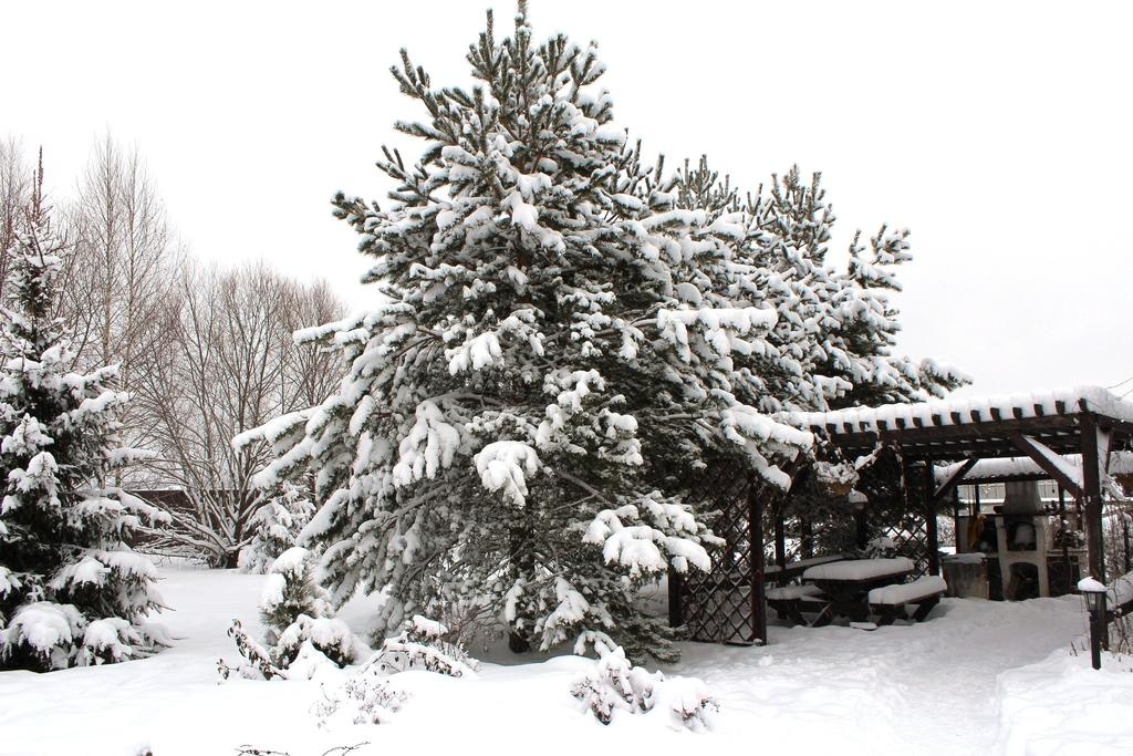 Фото Dream Village