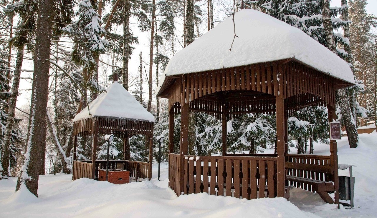 Фото Яхонты Истра