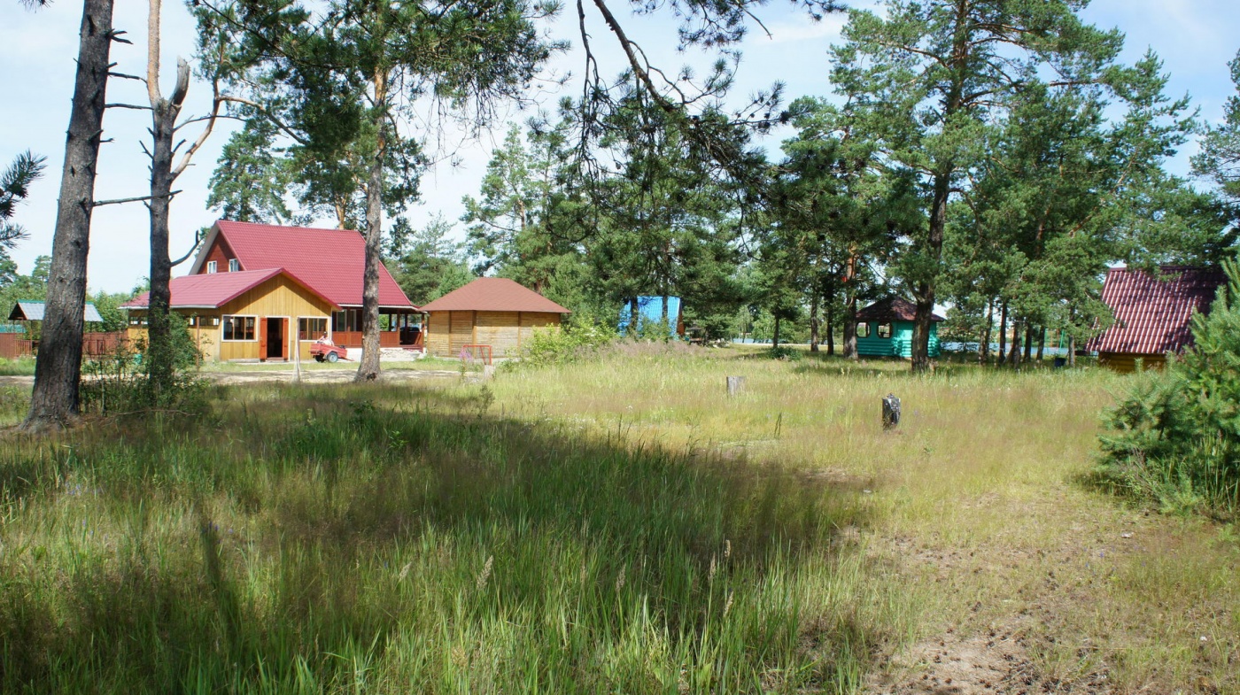 Фото Кукушка