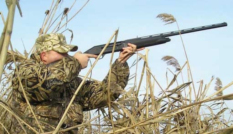 Фото Митричево