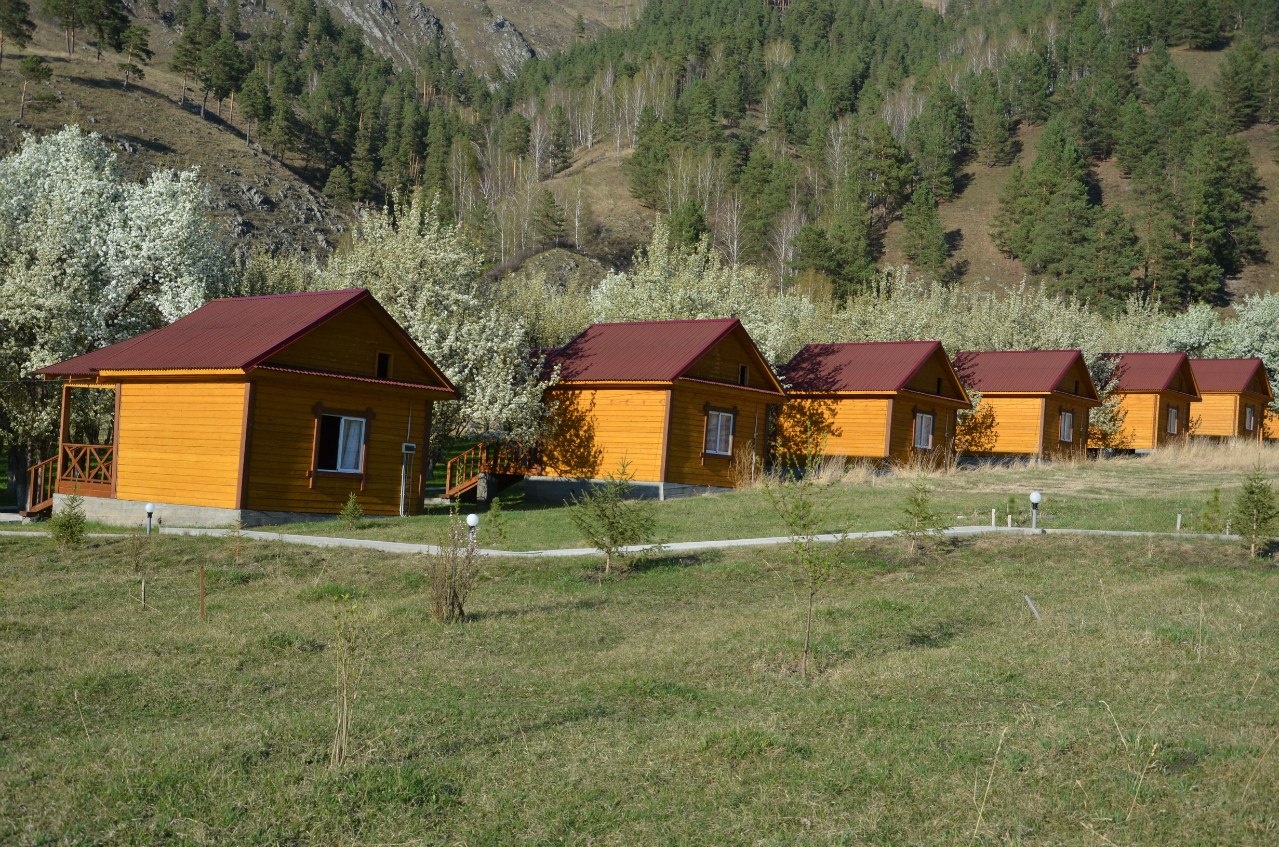 Фото Горный источник