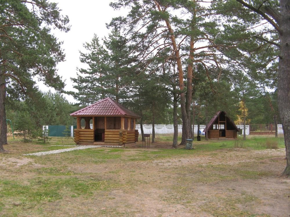 Фото Кукушка