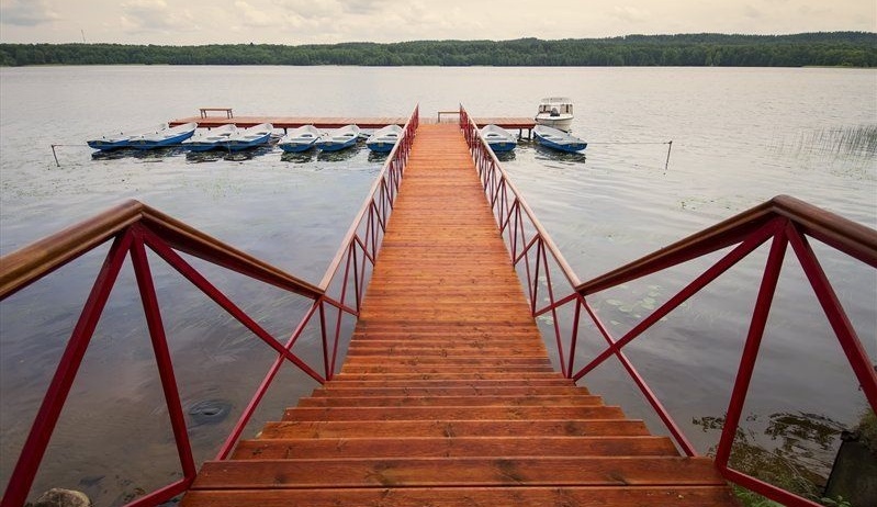 Фото Аврора