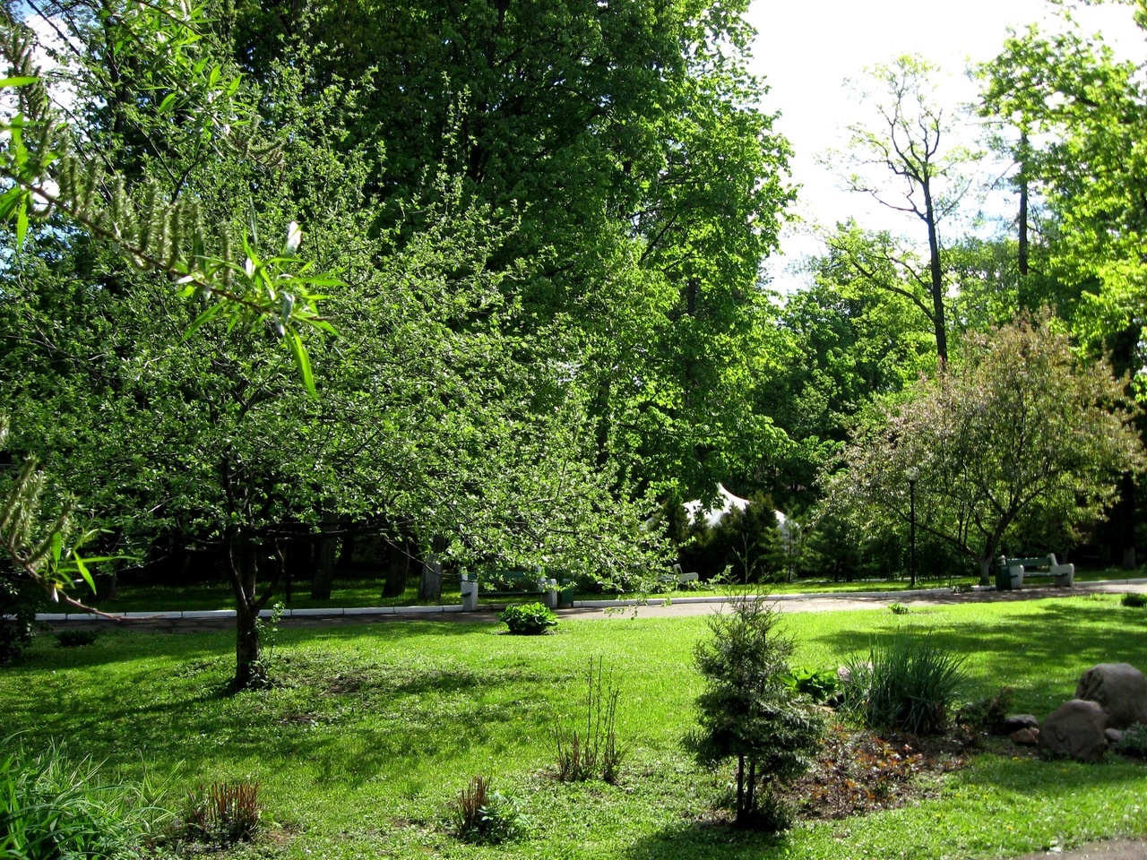 Фото Шереметьевский