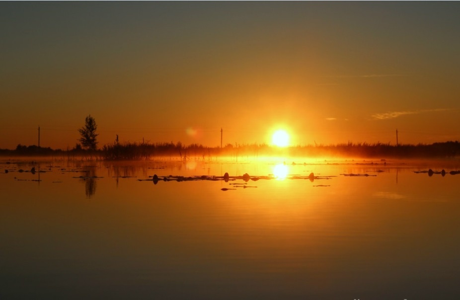 Фото Вселуг