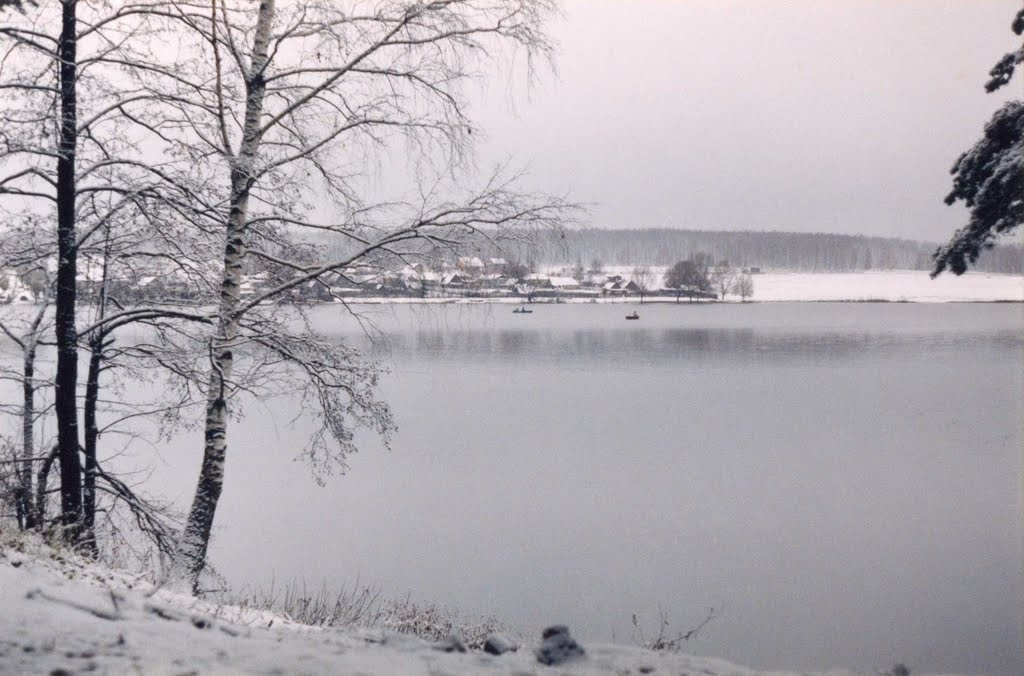 Фото Динамо