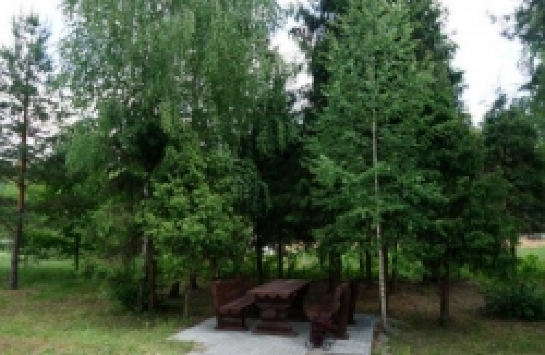 Фото Галдым